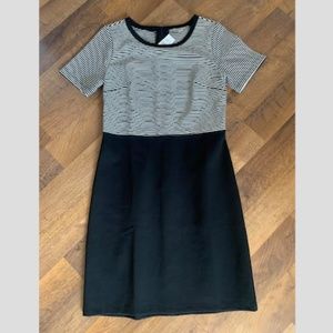 🆕 LOFT Coloblock Dress